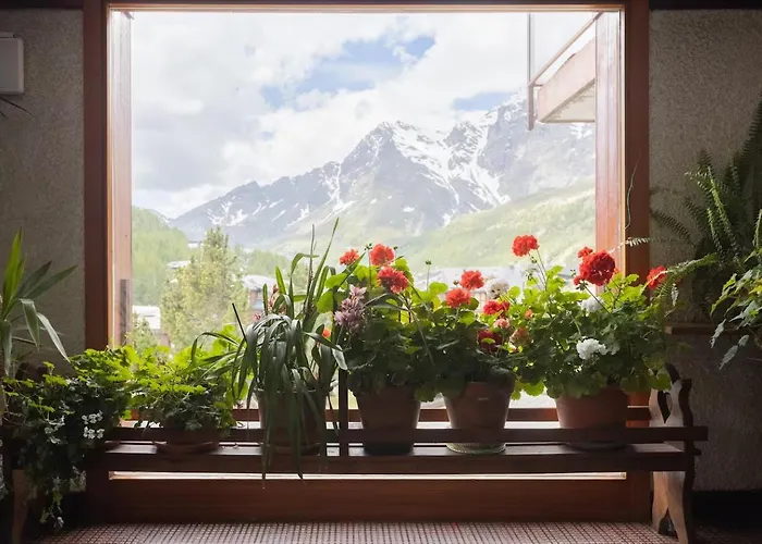 Three At The Mt Cervino S Foot *